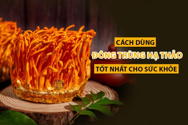 đông trùng hạ thảo Kon Tum