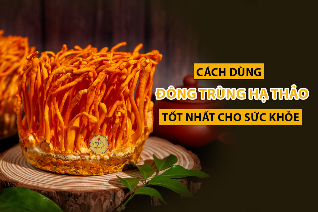 Cách dùng đông trùng hạ thảo tốt nhất cho sức khoẻ