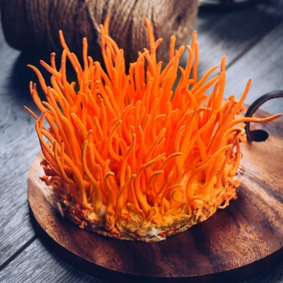 Vương Khang Thảo